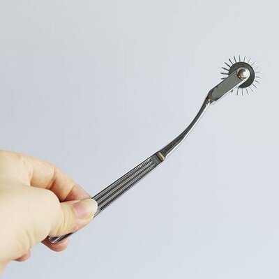 Đồ Chơi SM Cây Cọ Lăn Gai 