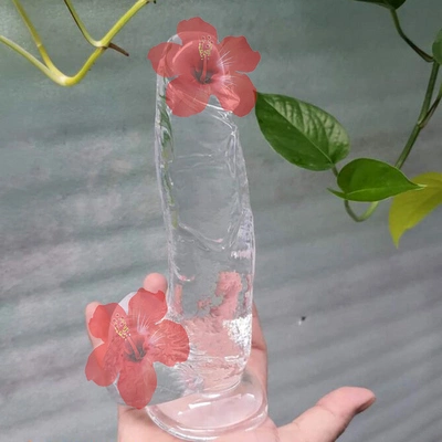 Dương vật giả hít đất trong suốt 